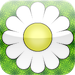 Bach Flower Remedies